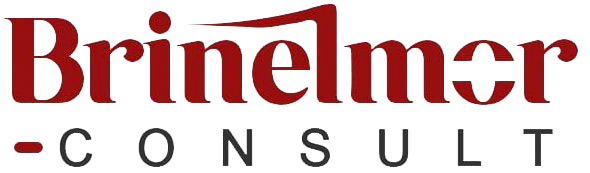 Brinelmor Consult Logo