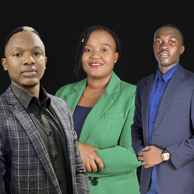 Brinelmor Consult Office